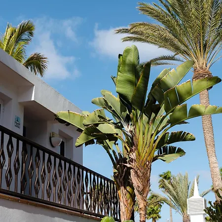 Fariones Puerto del Carmen (Lanzarote)