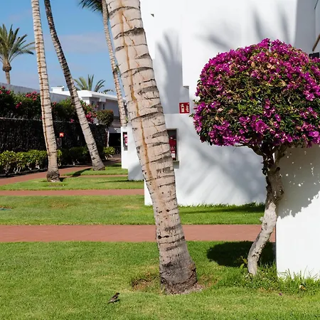 Fariones Lägenhet Puerto del Carmen (Lanzarote)