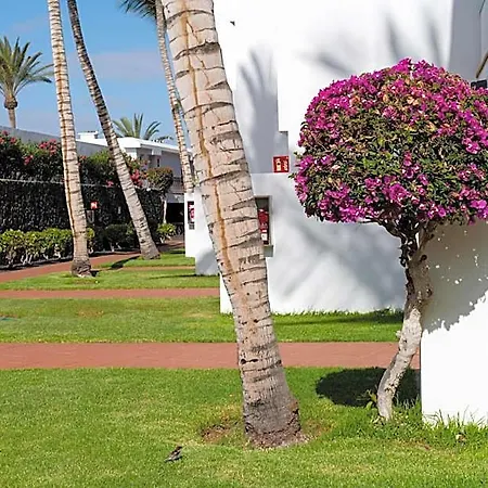Fariones Apartment Puerto del Carmen (Lanzarote)