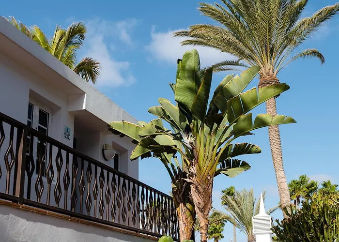 Fariones Puerto del Carmen (Lanzarote)