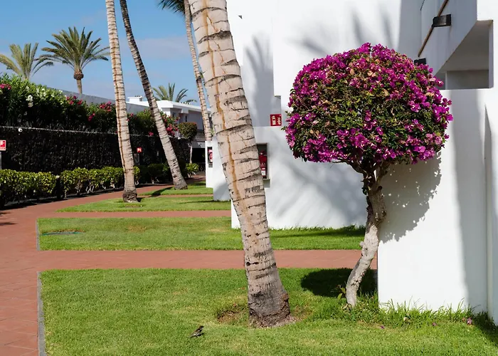 Fariones Apartamento Puerto del Carmen (Lanzarote)